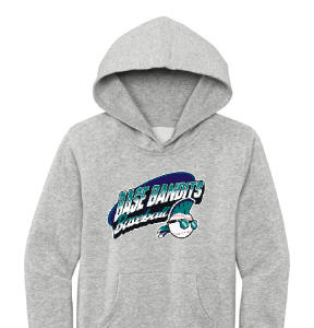 District Baseball Grey Fleece Hoodie Sweatshirt [Youth Only]