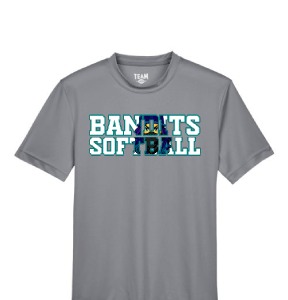 BB Grey Softball T Shirt [Adult / Youth]