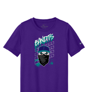 Nike Baseball Purple T Shirt [Adult / Youth]