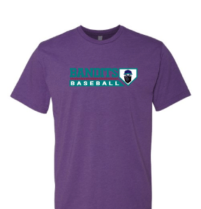 Baseball Purple T Shirt [Adult / Youth]