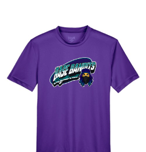 BB Softball Purple T Shirt [Adult / Youth]