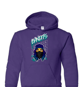 Softball Purple Hoodie Sweatshirt [Adult / Youth]