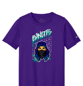 Nike Softball Purple T Shirt [Adult / Youth]